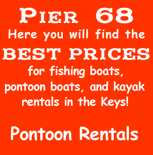 Pier 68 rentals