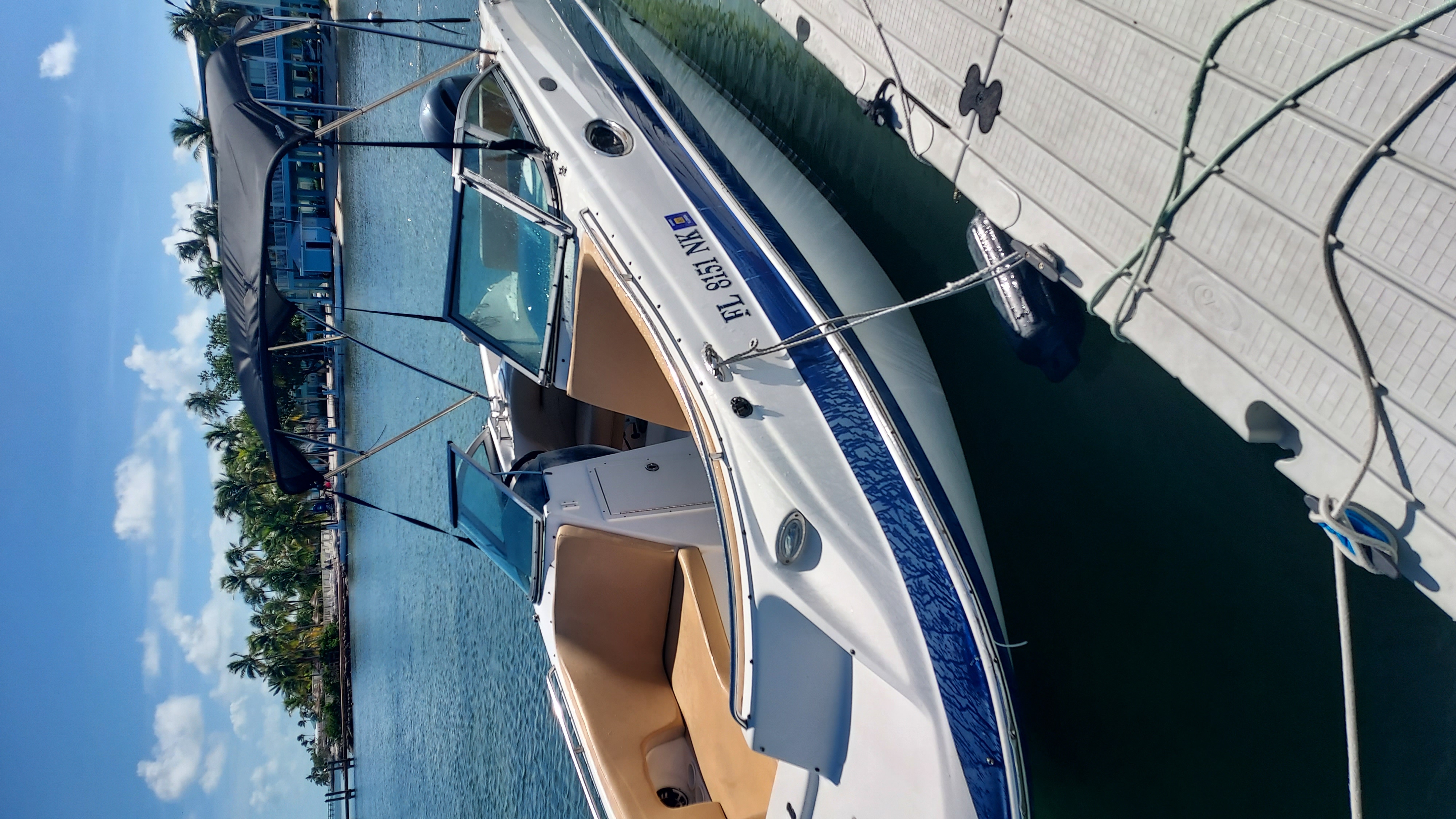 Deck boat — bimini